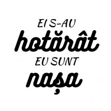 Oficial, Nasa - Foaie DTF pentru Nasi