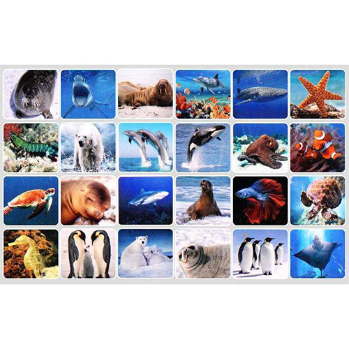 Proiector lanterna cu 3 discuri Animale Marine